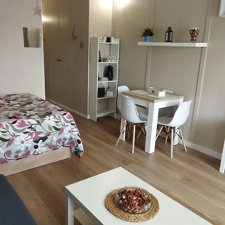 Apartment Centrico Estudio En *