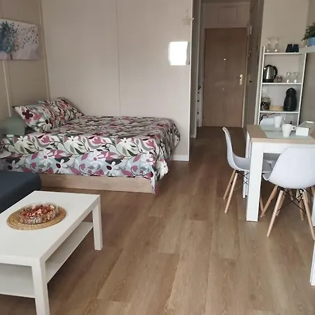 Apartment Centrico Estudio En
