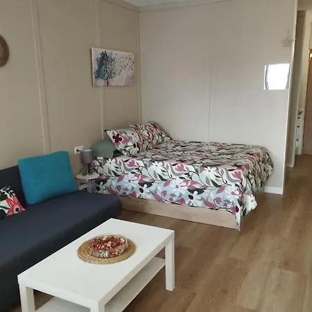 Apartment Centrico Estudio En