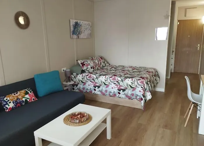 Apartment Centrico Estudio En